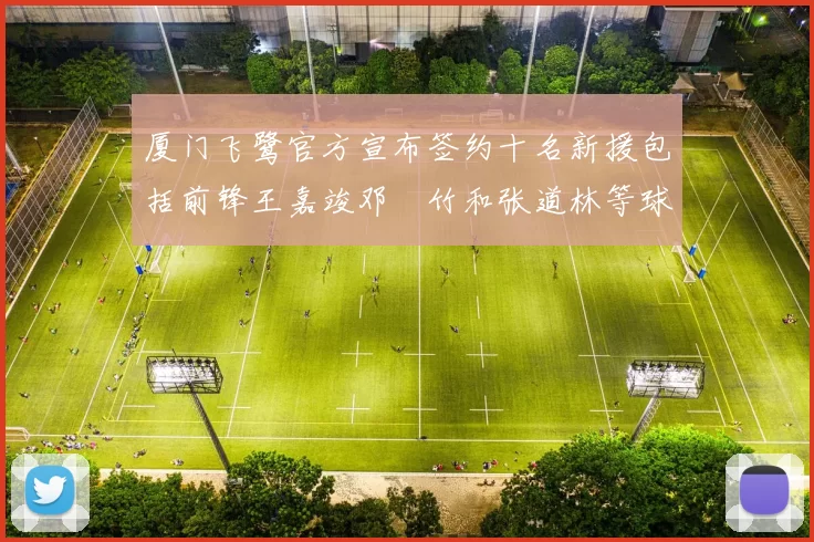 厦门飞鹭官方宣布签约十名新援包括前锋王嘉竣邓棽竹和张道林等球员